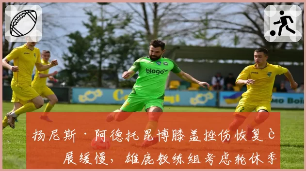 扬尼斯·阿德托昆博膝盖挫伤恢复进展缓慢，雄鹿教练组考虑轮休季前赛